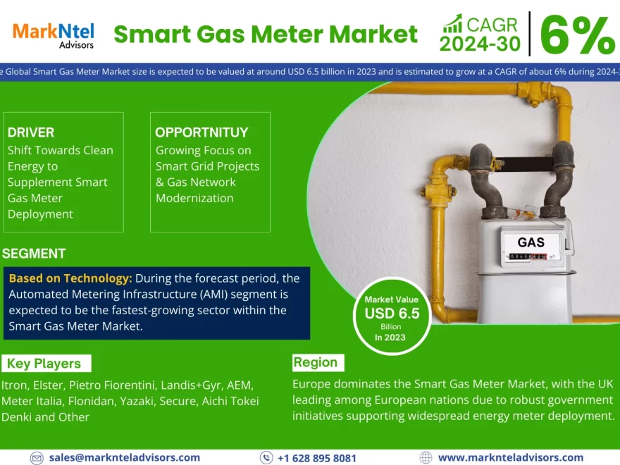 Smart Gas Meter Market