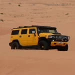 Desert Safari Sharjah: Exploring the Golden Sands