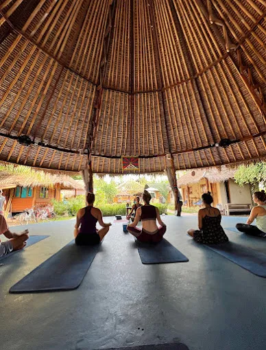 Bali yoga retreats