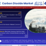 Carbon Dioxide Market