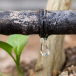 Drip Irrigation Market, Size, Global Forecast 2023-2028, Industry Trends, Growth, Share, Outlook, Impact of Inflation, Opportunity Company Analysis