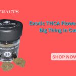 Exotic THCA Flower The Next Big Thing in Cannabis