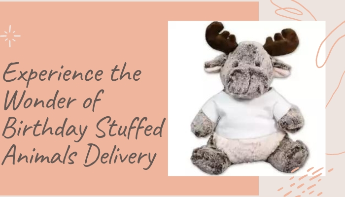 birthday stuffed animals