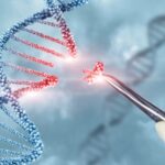 Global Gene Therapy Market Size, Share and Industry Forecast Report 2024-2032