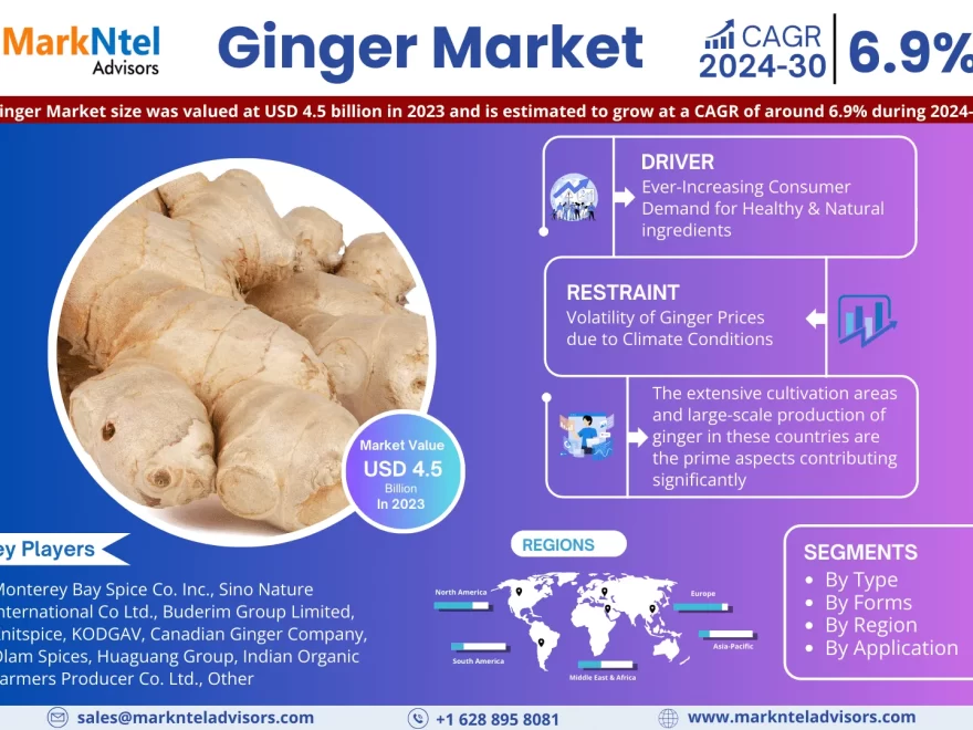 Ginger Market