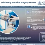 Global Minimally Invasive Surgery Market