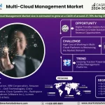 Global Multi-Cloud Management Market