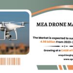 MEA Drone Market