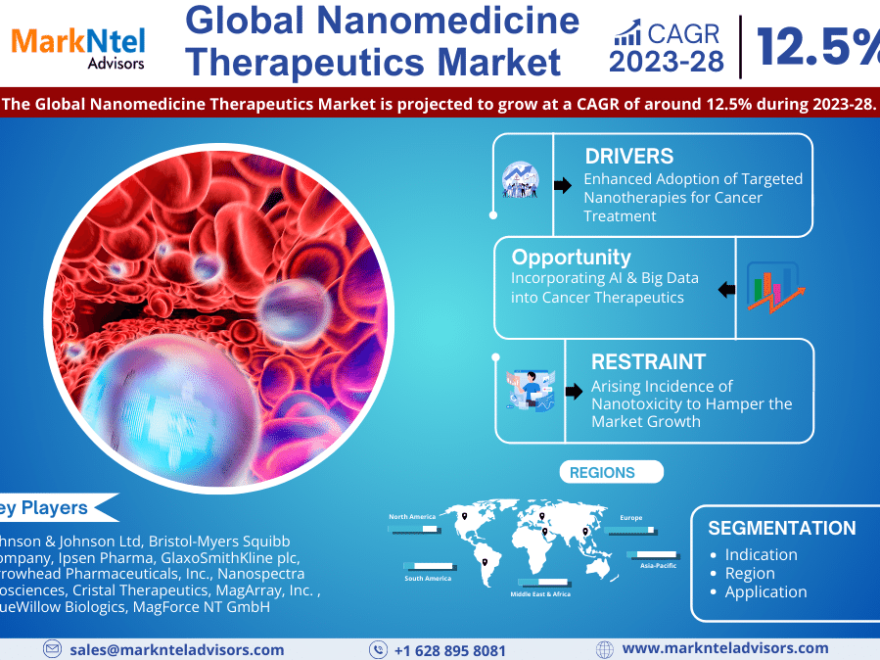 Nanomedicine Therapeutics Market