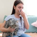 home remedies for cat allergies