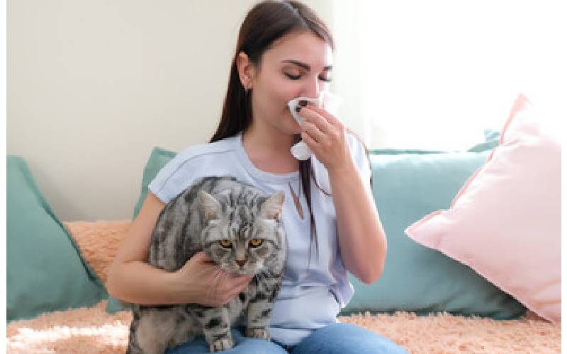 home remedies for cat allergies