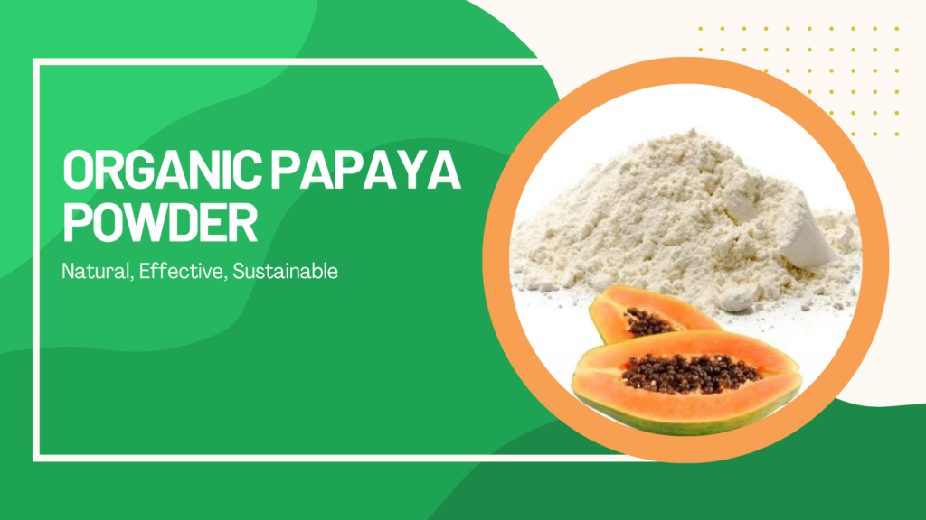 Organic Papaya Powder – Natural, Effective, Sustainable