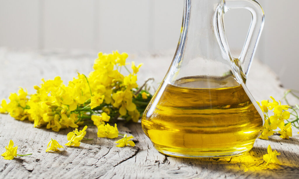 Rapeseed Oil Market Size, Share, Growth Report 2024-2032