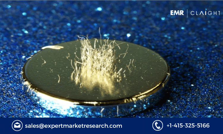 Rare Earth Magnet Market