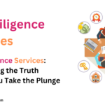 Due Diligence Services