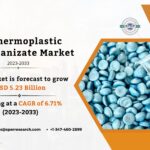 Thermoplastic Vulcanizate Market