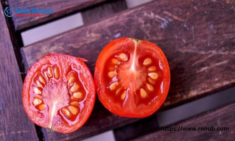 Tomato Seeds Market Size, Share, Growth & Company Analysis ⅼ Forecast (2024 – 2032) ⅼ Renub Research