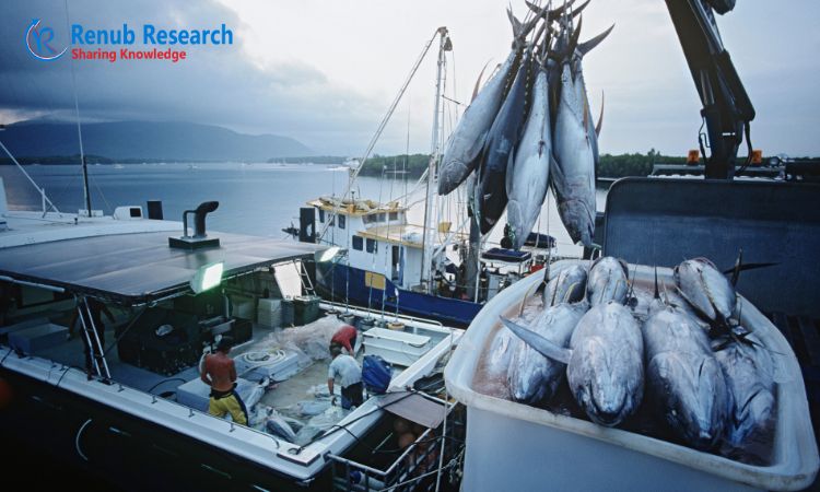 Global Tuna Fish Market will reach to US$ 52.85 Billion by 2028 | Renub Research