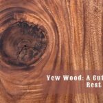 yew wood