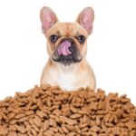 Grain Free Dog Food