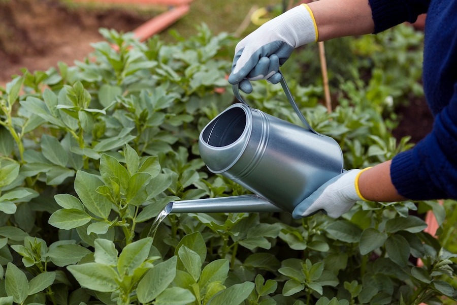 diy irrigation system