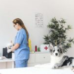 Recommended Health Check-ups and Pet Vaccinations for Your Pet