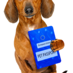 Eu pet passport