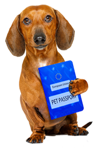 Eu pet passport