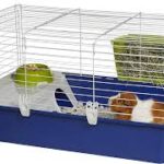 Innovative Guinea Pig Supplies: New Products and Trends for Enriching Your Pet’s Life