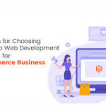 Why Your Business Needs Professional Magento Development Services