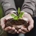 Exploring the Benefits of Regenerative Agriculture for Farmers and the Environment