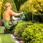 Achieving Lush Lawns in Plano: The Benefits of Integrated Lawn Care and Sprinkler Systems by Warrior Landscape LLC