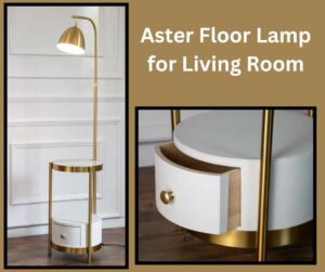 Aster Floor Lamp for Living Room