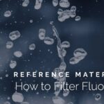 The Ultimate Guide to Fluoride Filtration: Protecting Your Family’s Health