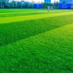 How Do I Find A Reliable Artificial Turf Hire Company In Australia?