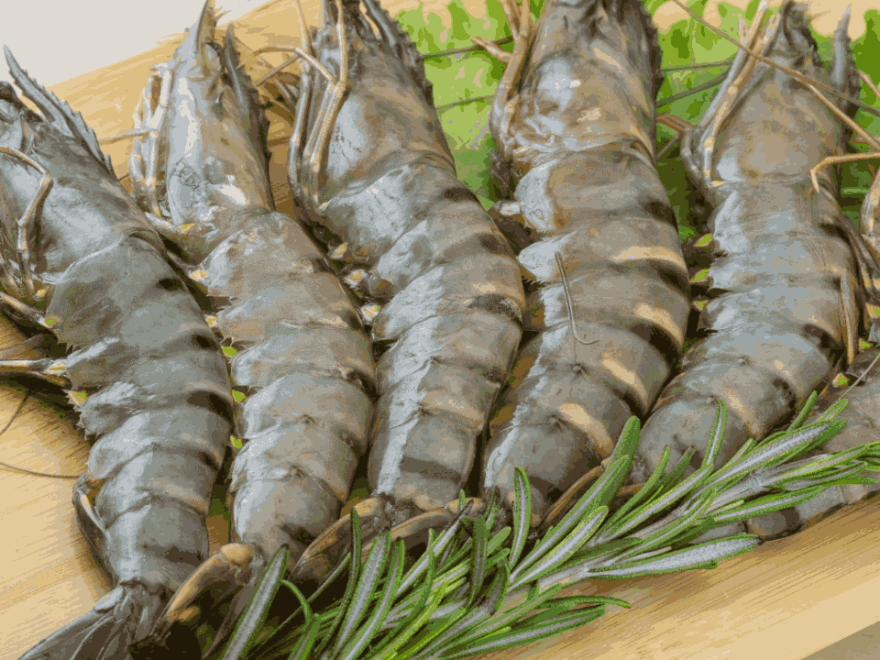 Raw-Prawns