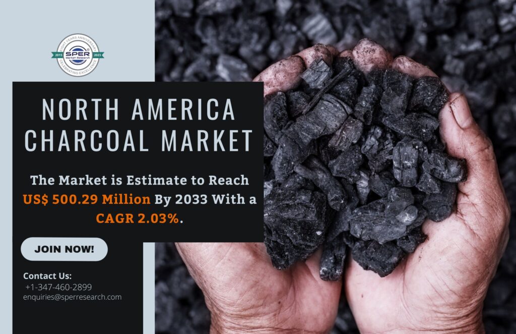 North America Charcoal Market