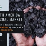 North America Charcoal Market