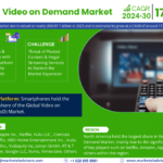 Video on Demand Market