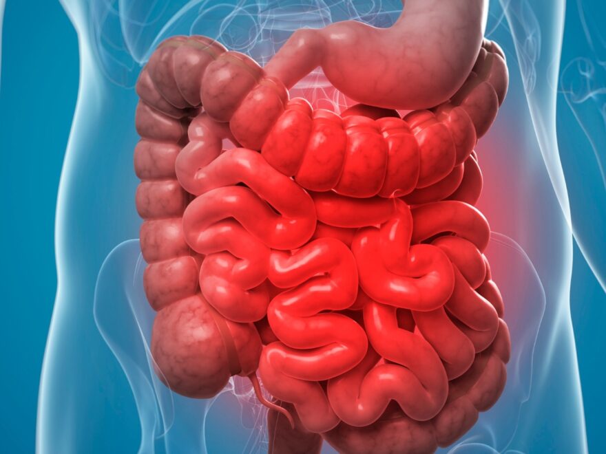 Gastroenterology Service