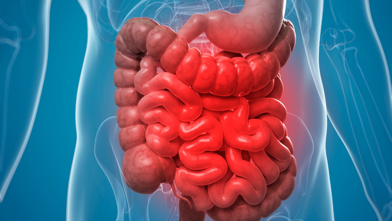 Gastroenterology Service