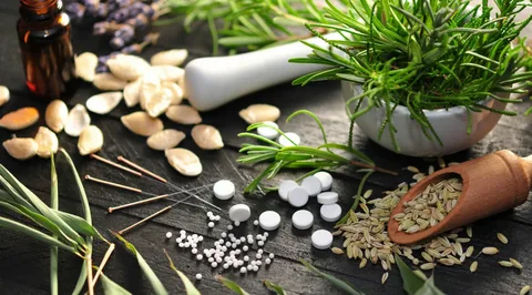 Best Naturopath Melbourne