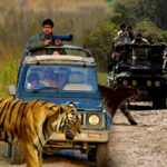 Corbett Jeep Safari | Corbett Heaven