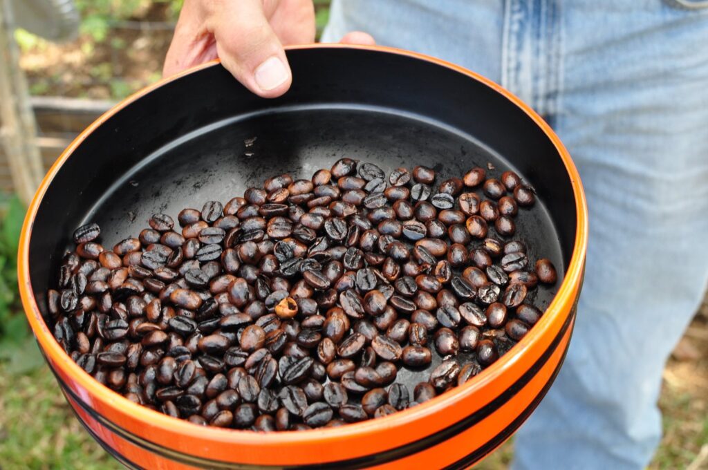 The Rich Legacy and Unmatched Flavor of Buddha’s Cup Kona Coffee