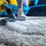 Why Regular Professional Carpet Cleaning Is Important