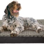 The Sir Archers Cool Dog Mattress