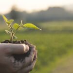 Biopesticides Market 2024: Industry Insight, Drivers, Trends, Global Analysis and Forecast by 2032