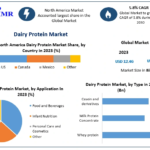 Dairy Protein Market: Projected Growth and Trends from 2024 to 2030