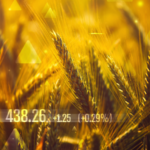 Global Wheat Market Size and Growth Forecast 2024-2032