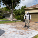 How to Prepare Your Driveway for the Summer: Paver Sealing Tips for Jacksonville ResidentsHow to Prepare Your Driveway for the Summer: Paver Sealing Tips for Jacksonville Residents